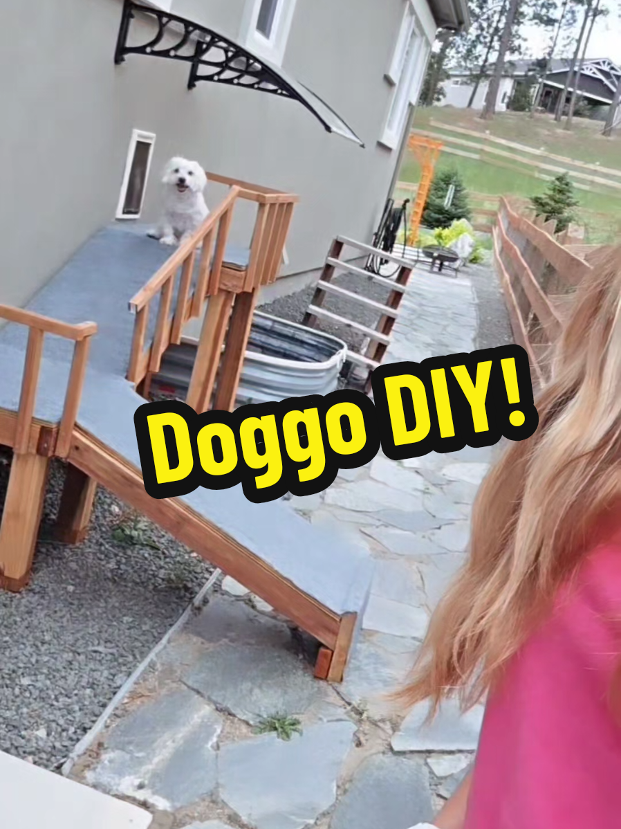 Things I accomplish while NOT on social media!☺️ Happy doggos= Happy life🐶 #wood #DIY #craftymom #singlemom #bossmom #bossbabe #strongwomen #relatable #woodwork #art #watchthis #viralvideos 