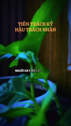 🙏🏻Người hay đổ lỗi cho hoàn cảnh thường là người chưa từng sửa chính mình  #phatphapnhiemmau #caunoihay #viralvideo #cliptrieuwiew #LearnOnTikTok #thinhhanh 