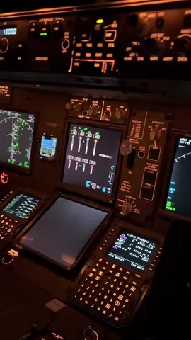 I LOVE NIGHT LANDINGS! 🥰✈️ Wishing You All The Best, JOE! #nightlife #cockpitview✈️ #fyppppppppppppppppppppppp #goviraltiktok♥️ #usa_tiktok #germany🇩🇪_tik_tok 