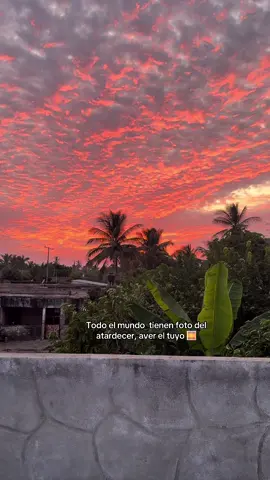 #fypシ゚ #sunset #viral #foto 