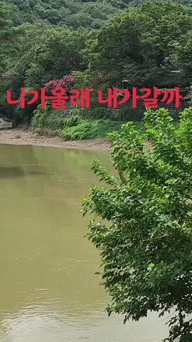 니가올래 내가갈까 #임영웅