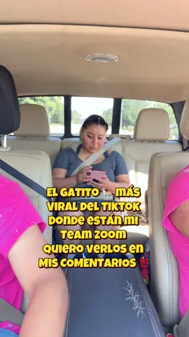En mis comentarios estaré buscando el gatito más activo de mi comunidad #creatorsearchinsights #story #lupita #storytelling #elgato #construction 
