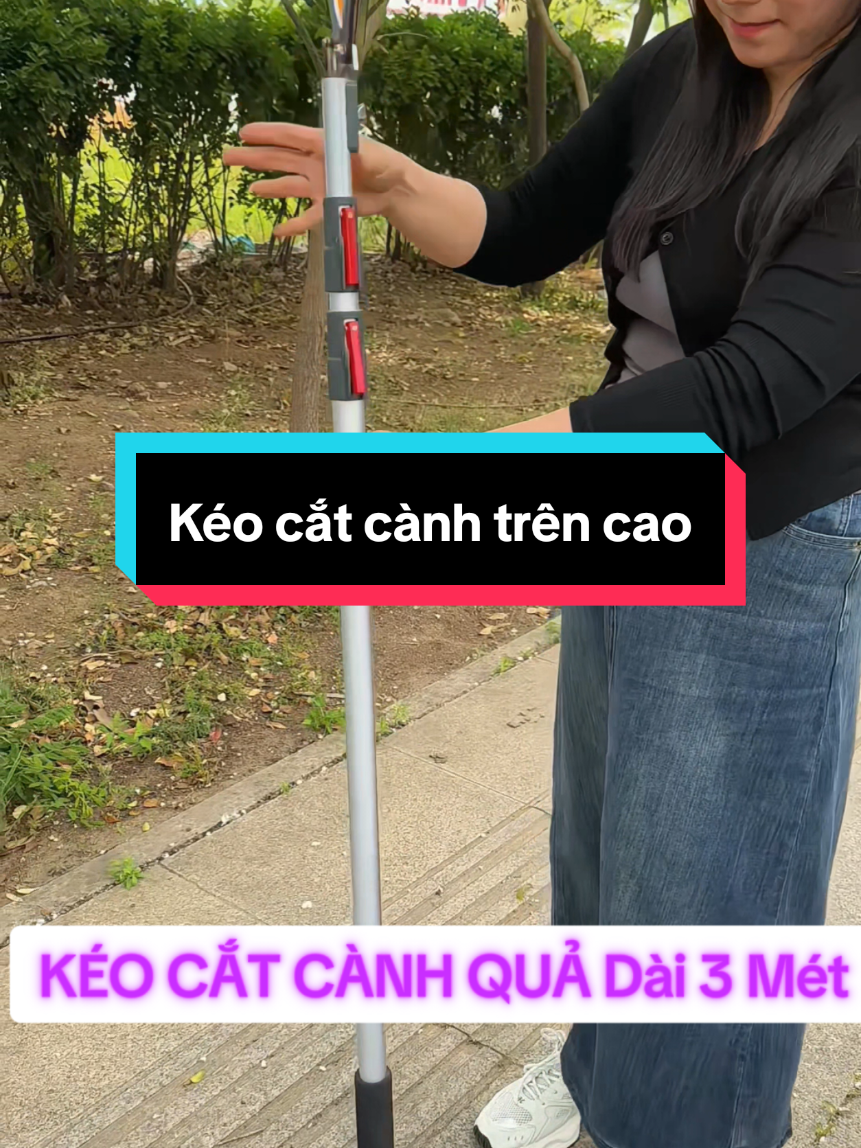 KÉO CẮT CÀNH 3Mét đa năng #keocatcanhcaytrencao #keocatcanhcay #keocatcanh #keohaiquatrencao #keohaiqua #keocathoaquatrencao #xuhuong 