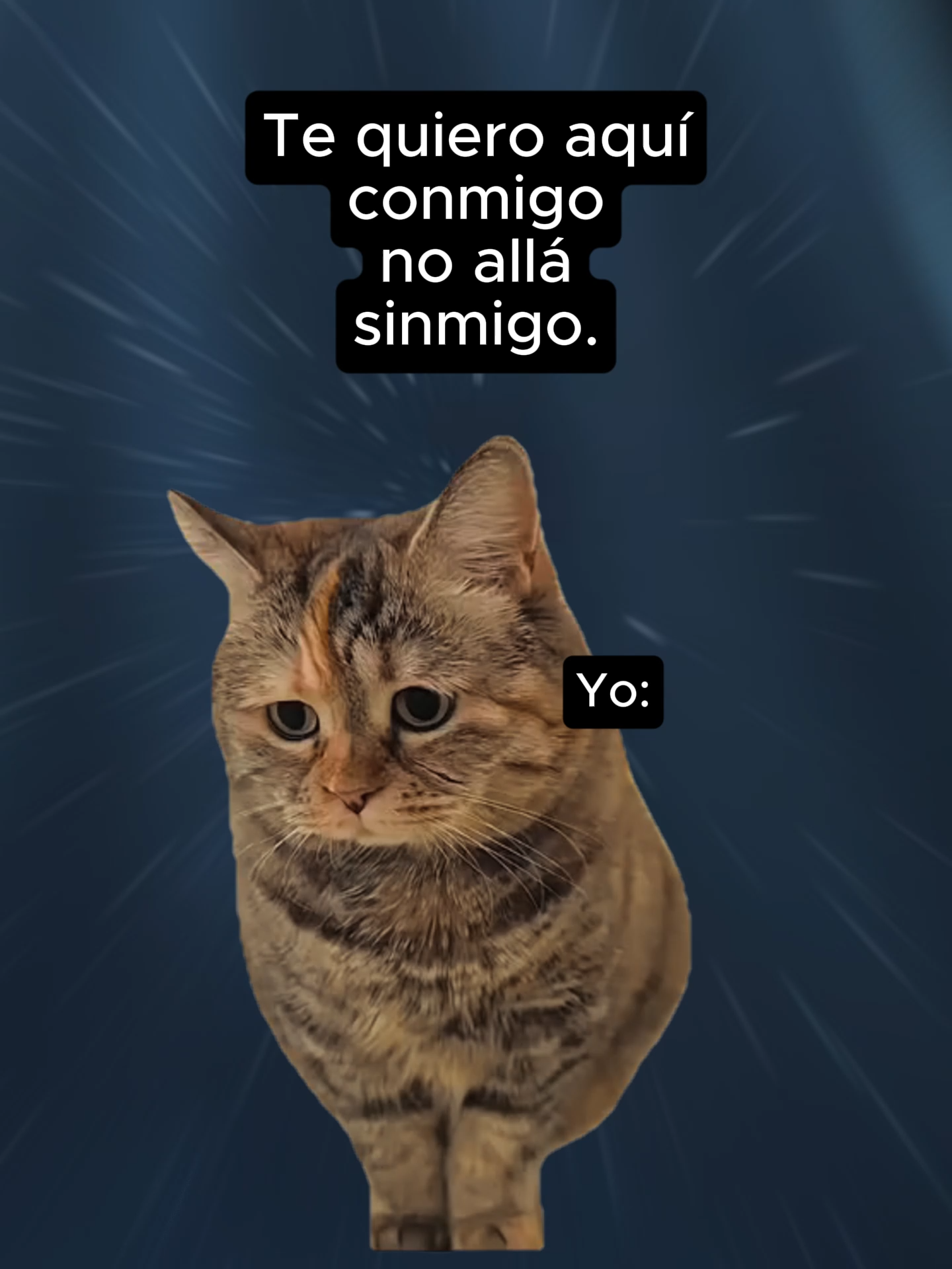 Tu alla y yo acá.