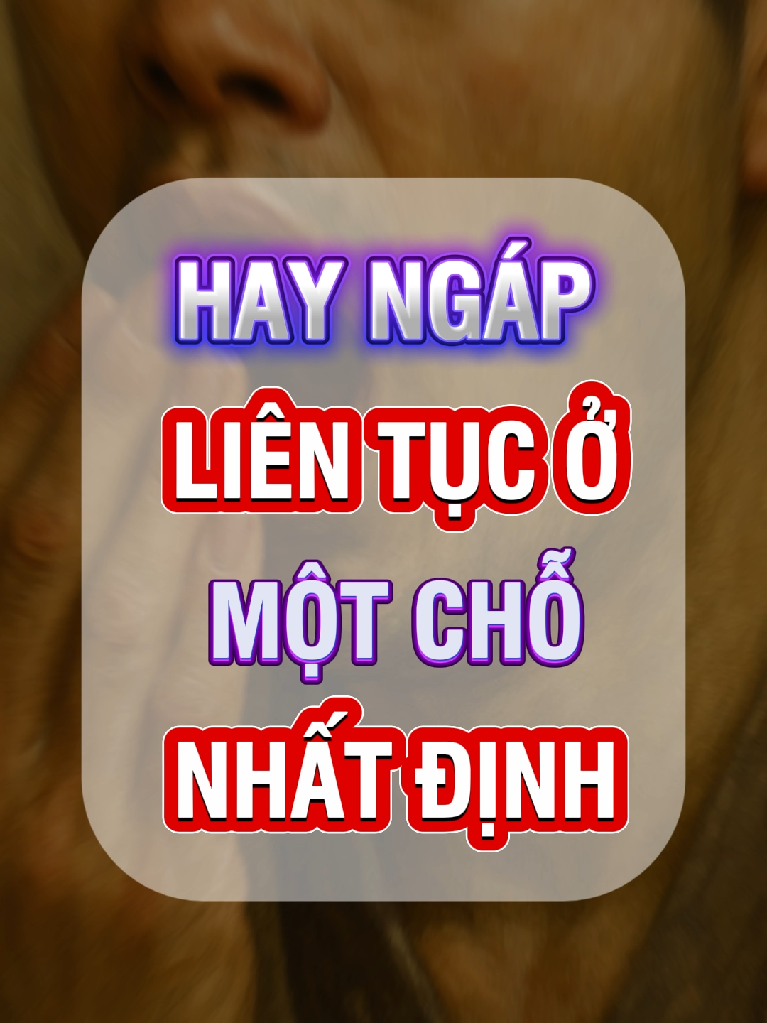 Hay Ngáp Liên Tục Ở Một Chỗ Nhất Định #đạoquântử #rútquẻ #kinhdịch #64quẻkinhdịch #xembói #côngviệc #tìnhyêu #xuhuongtiktok #2025