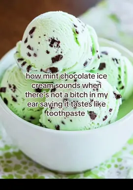 NO IT DOESNT STFU #ilovemintchocolatechipicecream #mintchocolatechip #icecream #fyp #funny