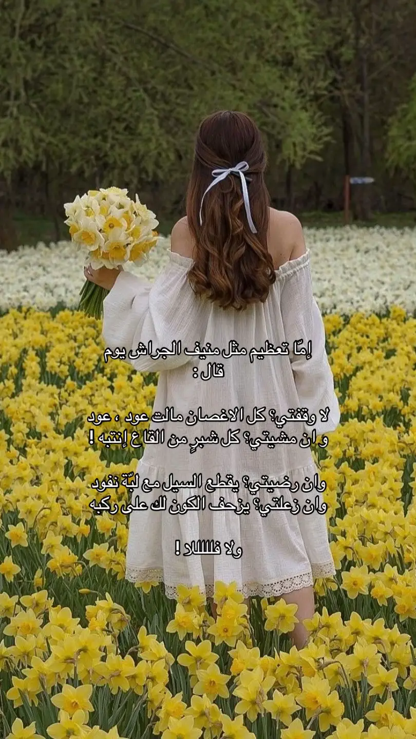 #fyp #قصيد #foryou 