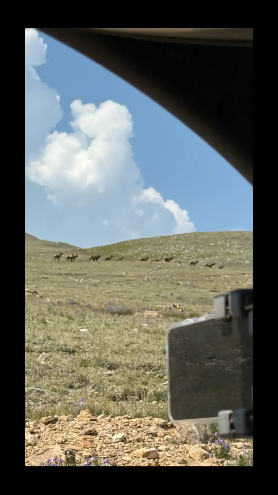 @AngelB456 #denver#mountainsview #mountain#relaxingvideos #traveltok #Hiking#mountains 