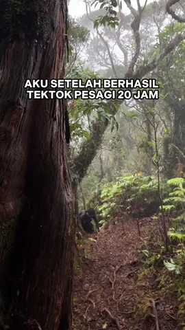 kit ajak sepuh kita mas zulqa tektok sparing tektok rinjani 🗿 gas mas Zulqa kita agendakan😭