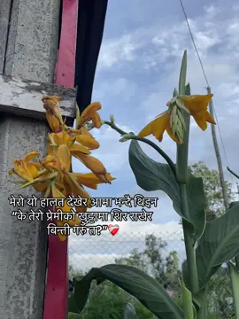 Mero aama leh phone garera ruko pani ho usko agadi🥲#goviral #new #content #💕 