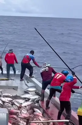 Pole fishing . Team work 