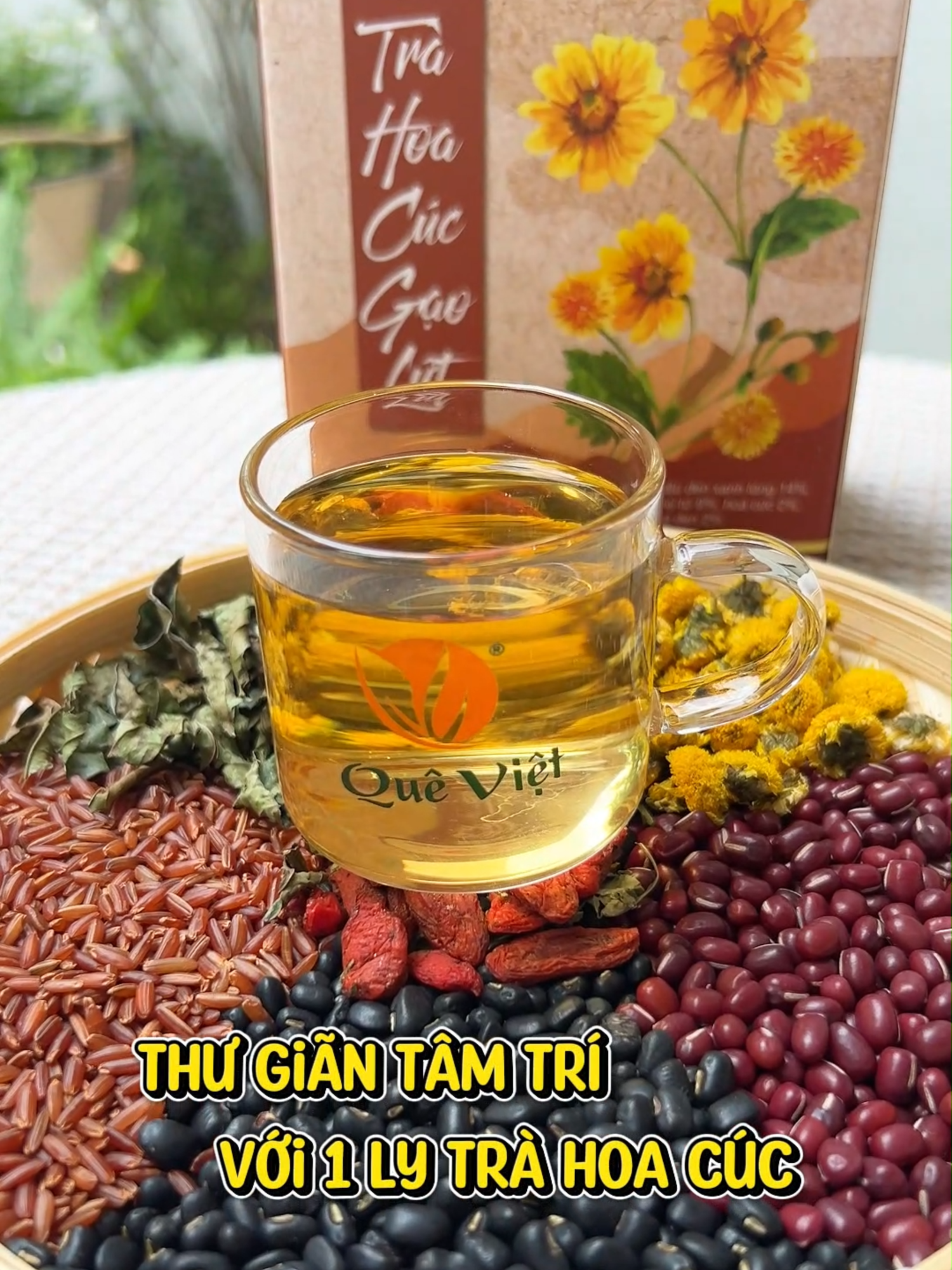 Dân văn phòng thư giãn tâm trí #queviet #healthy #trahoacucgaolutqueviet