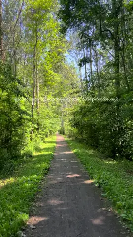 🚶🏽🍃 #hereim #simplelife #movingon #ariesimpermanence #calmness #ariessoulimpermanence #nohate 