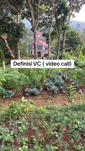 Udah lama ngga VC.an😅 #vc #call #kol #sayuran #lucu #lucu_ngakak #bercanda 