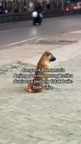 Sabar jinglh dunia ja ini🤣#fyp#anjinggalaubrutal