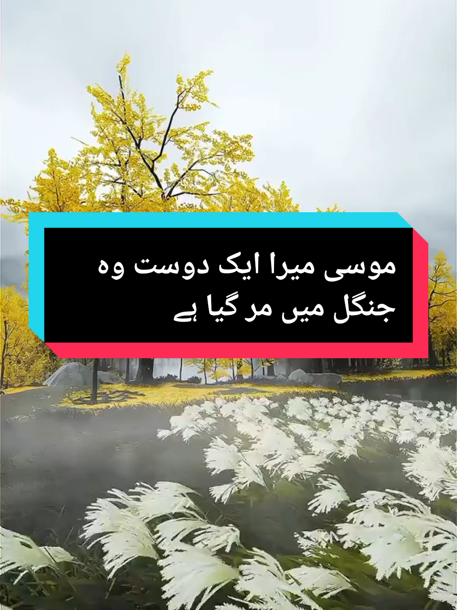 Molana Tariq Jameel Emotional Bayan  #tariqjameel #maulana_tariq_jameel #tariqjameelbayan #islamic #bayan 