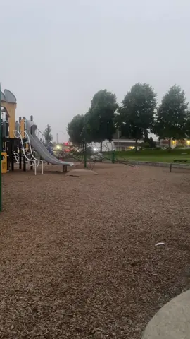 #fyppppppppppppppppppppppp #fypシ #park #kids 