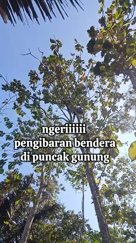 #pengibaranbenderabdatasgunung #nkri #fyp #tikfokviral #trending #kabarjabar #vidioviral #masukberandatiktok #alunalunsindangbarang @Sorotan 