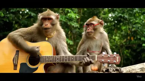 lagu cinta cuuuy #fypシ゚viral #foryou #creatorsearchinsights #animasiindonesia #fypage #monyettiktok #veo3 