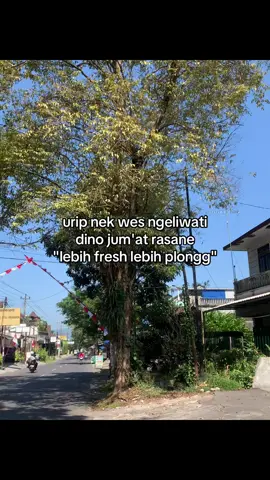 nek nde det🗿