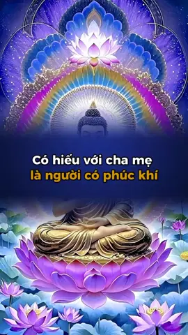 Có hiếu với cha mẹ là người có phúc khí #xuhuong #kinhdoanhonline #LearnOnTikTok #banhang #trietly #trietlycuocsong 