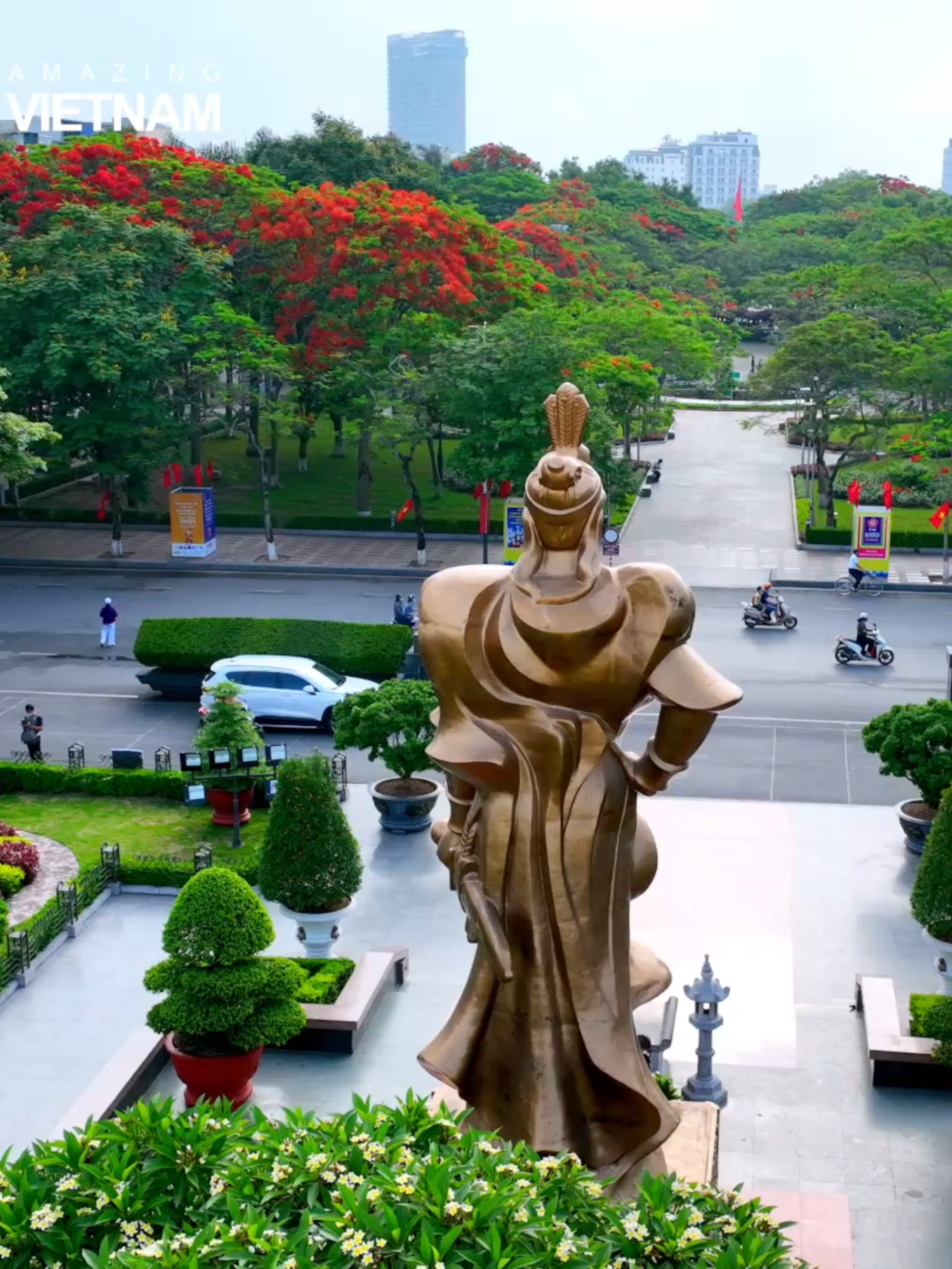 Mùa Hoa Phượng Đỏ Rực Rỡ Hải Phòng