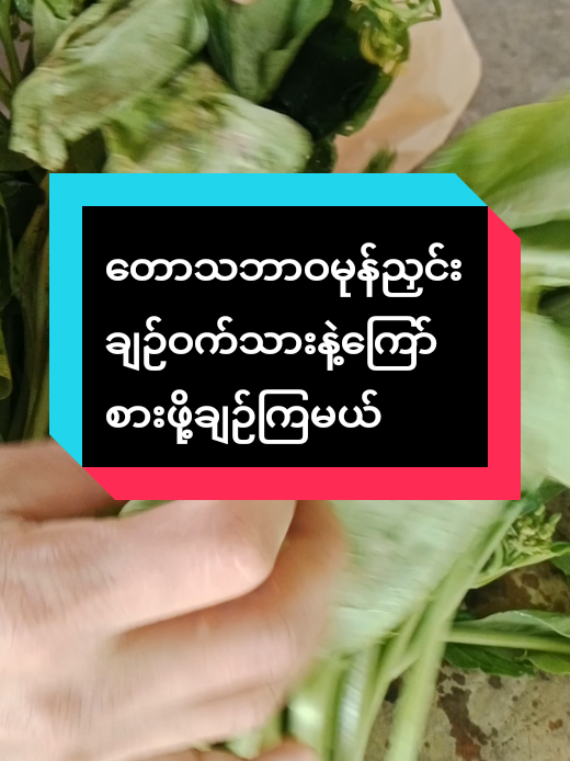 ရိုးရှင်းတဲ့တောသဘာဝမုန်ညှင်းချဉ်ချဉ်စားကြမယ်#ဟင်းချက်ကြမယ်tiktokမှာ #Cooking 