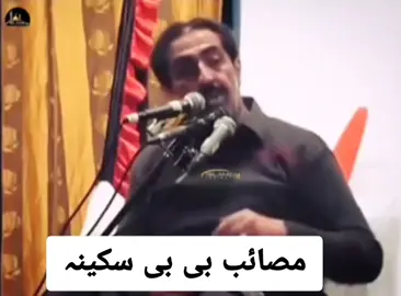 13 صفر شہادت بی بی سکینہ  #sakina #foruyou #yahussainع #yaabbasع #fyp #viralvideos #yaalimadad 