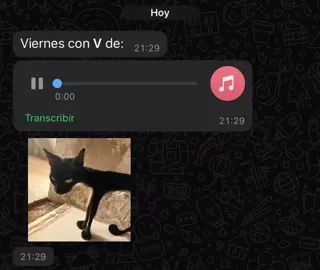 Viernes con V de: Vamo ver vamo lá quiero ver 💃🕺🏻 #paratiiiiiiiiiiiiiiiiiiiiiiiiiiiiiii #viernesconvde #vamovervamola #caidepernaaberta #trend 