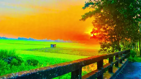 অভিযোগ ফুরায়, অধিকার  ফুরায়, তবুও মায়া ফুরায় না....... 😅❤️‍🩹🌿#viral #foryou #foryoupage #videography #viral_video_tiktok #naturelover #greenscreen #unfrezzmyaccount 