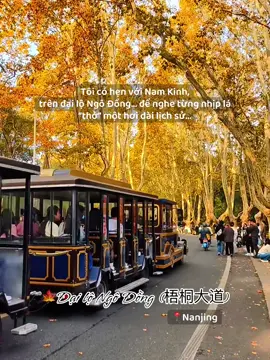 🍁 Mùa thu nhuộm vàng hàng ngô đồng, lá rơi như những ký ức chậm rãi rụng xuống. Tôi đặt một cuộc hẹn với chính mình trên Đại lộ Ngô Đồng, để đi tìm lại bóng dáng một tình yêu từng gọi là lịch sử. Nơi có mỹ nhân nhà họ Tống và chàng Tưởng từng bước qua con đường này bằng những lời hứa và im lặng; hôm nay tôi đến, không phải để phán xét đúng sai, mà để nghe tiếng lá kể chuyện họ đã yêu như thế nào… #nanjing #dailongodong #wutong #tongmylinh #tuonggioithach #travelwithem #tripplanner #dulichtrungquoc #tourtrungquoc #tourchina #tournoshopping #tourdulich #china 