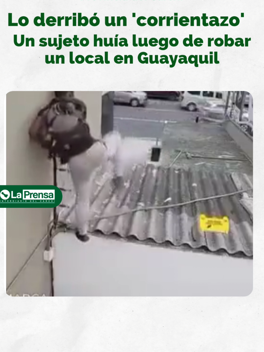 #ATENCIÓN | SUJETO INESCRUPULOSO RECIBIÓ DESCARGA ELÉCTRICA TRAS ROBO EN CONCESIONARIA DE GUAYAQUIL Un maleante de nacionalidad extranjera protagonizó un insólito hecho la tarde del pasado 3 de agosto, luego de ingresar a robar accesorios de vehículos en una concesionaria ubicada en la avenida Francisco de Orellana en #Guayaquil. El hecho quedó registrado en las cámaras de seguridad. Tras cometer el delito, el sujeto intentó escapar escalando por el techo de una vivienda contigua. En su huida, tocó un cerco eléctrico, recibiendo una descarga que lo hizo caer y romper el eternit. Pese al impacto y la caída, el individuo se levantó, volvió a escalar y se alejó caminando tranquilamente del lugar.