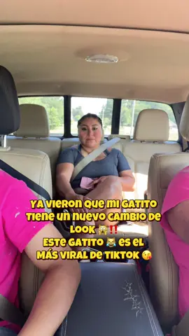Quieres ver el gatito 😹 más viral de Tiktok 🙀😈‼️  Todos saben donde ir a buscar las sorpresas mis gatitos 🐱 #creatorsearchinsights #story #lupita #storytelling #elgato #construction 