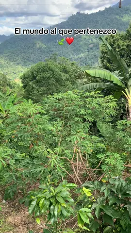 #camponaturaleza🍃❤️