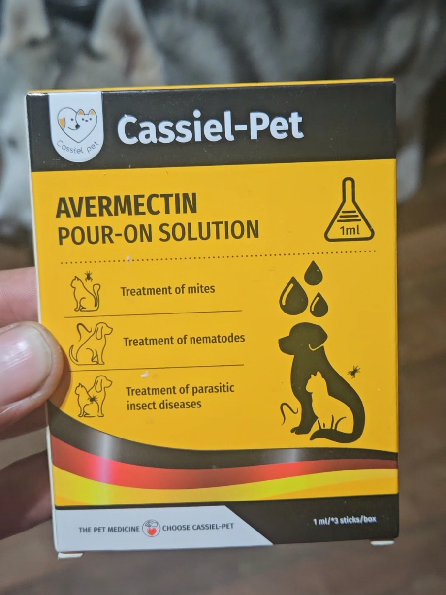 #cassialpet #pethealth #doghealth 