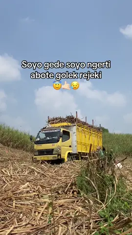 😇😇