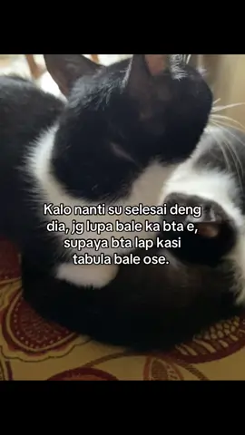 Kalo bisa angkat bating ose😭🤣 #tag 