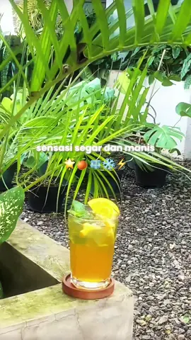 Orange Sunset bagian dari line up Mocktail eNthree Coffee. Dengan perpaduan rasa orange dan tambahan soda mampu menyegarkan dahaga di tenggorokan ❄️ Silahkan untuk order di eNthree Coffee Kitchen Space #mocktail #orangesunset #enthreecoffee #minumanviral #xyzbca 