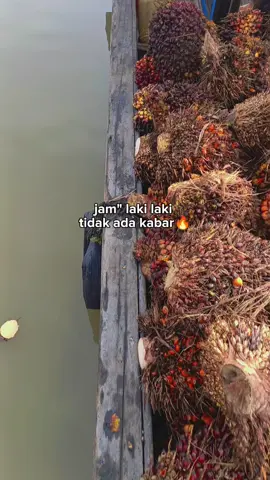 jam gacor#pesungai #sawitbalap 