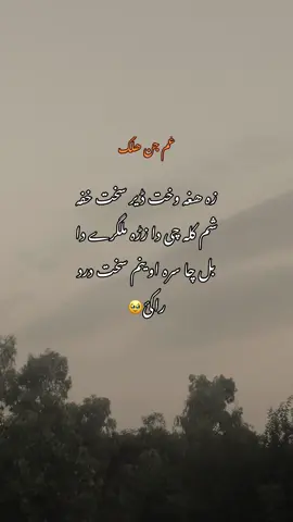 #🥹🥹🥹🥹🥹❤️‍ #plzviral🥺🥺🙏🙏foryoupage #plzunfrezemyaccount #plztiktokdontunderreviewmyvideo @#foryou 