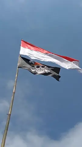 merdeka tapi lieur #onepiece #merahputih #merdeka #fyp #viral #bendera 