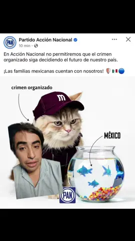 #pan #politica #politics #méxico #mexico #meme #internet #viral #shorts #viralshorts #fy #fyp #fypage #foryoupage #foru #foruyou #forupage #foruyoupage #fu 