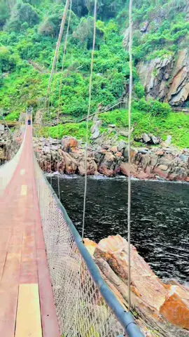 📍Tsitsikamma, South African 🇿🇦  #tsitsikamma #suspensionbridge #ocean #southafrica #fyp 