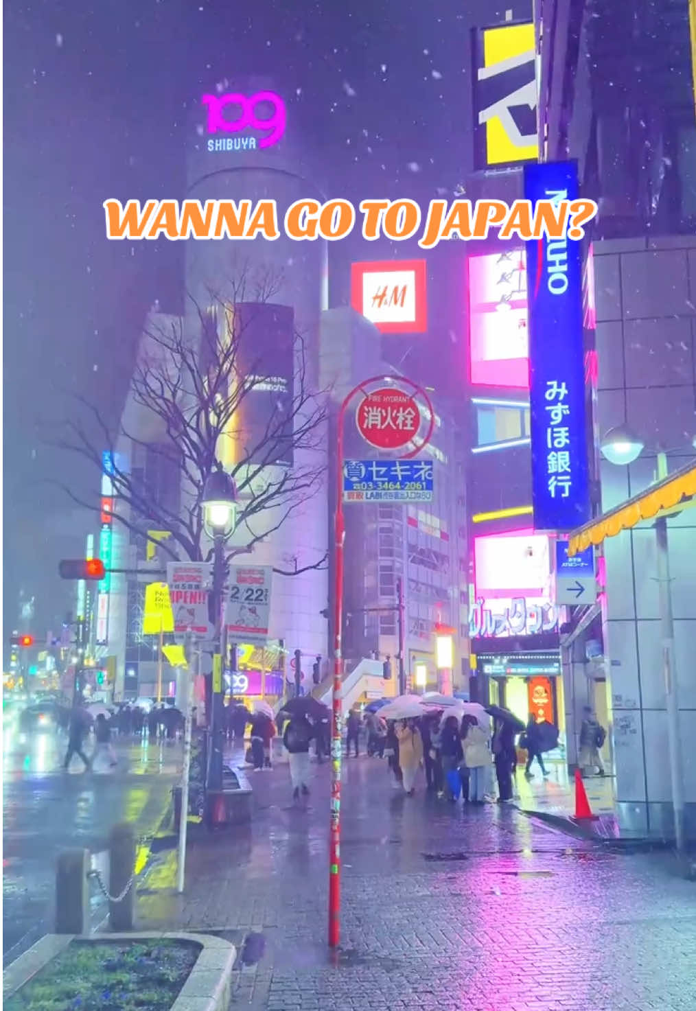Sushi in Tokyo, takoyaki in Osaka — Japan is calling! 🍣🐙 📩MESSAGE US AND BOOK NOW! ——————————————  𝙁𝙤𝙧 𝙄𝙣𝙦𝙪𝙞𝙧𝙞𝙚𝙨/𝙗𝙤𝙤𝙠𝙞𝙣𝙜𝙨 𝙮𝙤𝙪 𝙘𝙖𝙣 𝙨𝙚𝙣𝙙 𝙪𝙨 𝙖 𝙢𝙚𝙨𝙨𝙖𝙜𝙚 𝙤𝙧 𝙘𝙤𝙣𝙩𝙖𝙘𝙩 𝙪𝙨 𝙖𝙩: 📍2nd Floor Prime Asiatique Bldg. Buhay na Tubig, Imus, Cavite ☎️+639088755011 / (046) 886-6786 📩wego.travel16@gmail.com #choosewisely #bookwithus #travelagency #travel #travelagencyimus #imuscavite #TravelWithUs #ExploreMore #localtours #iternationaltours #wegotoursandtravelservicesco