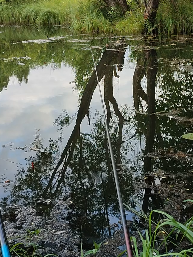 пруд