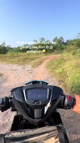 Kasi info sikit geng 🤣#bismillahfyp #ayamhutan #ayamhutanoriginal #pikatayamhutan #hobikampung 