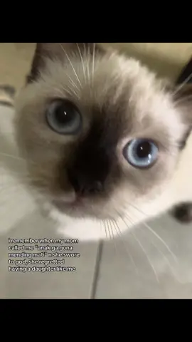 Comel