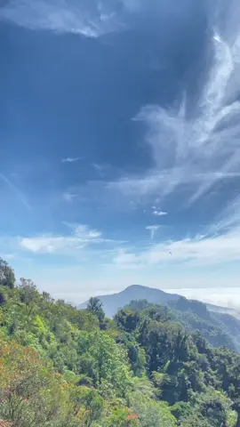7 agustus#mountmuria #puncakmuria #argopiloso 