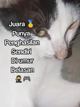 Alhamdulillah Udah punya penghasilan sendiri walaupun ga banyak #fixel_stur #anakjb #anakjbnibos #jbwangsaf😎 #storyanakjb #foryou #adminjbregoinjabar 