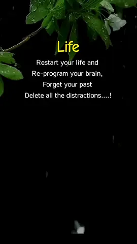 ##TheQuotionJourney #DailyQuotes #QuoteOfTheDay #PositiveVibes #InspirationDaily #MotivationalQuotes #WisdomWords #MindsetMatters #StayInspired #ThoughtfulTuesday Motivation, Inspiration, Positivity, Quotes, Wisdom, Self-growth, Daily reminder, Life lessons, Mindset, Journey